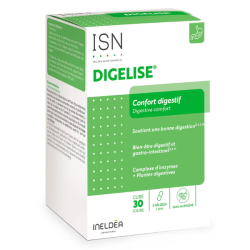 Ineldea Santé Naturelle Digelise Confort digestif 90 gélules