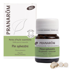 Pranarôm Pin Sylvestre huile essentielle bio 60 perles
