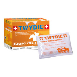 Twydil Electrolytes + C 10 sachets de 50gr