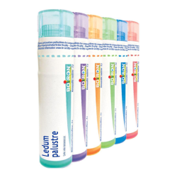 Boiron Ledum Palustre dose 15ch 4g