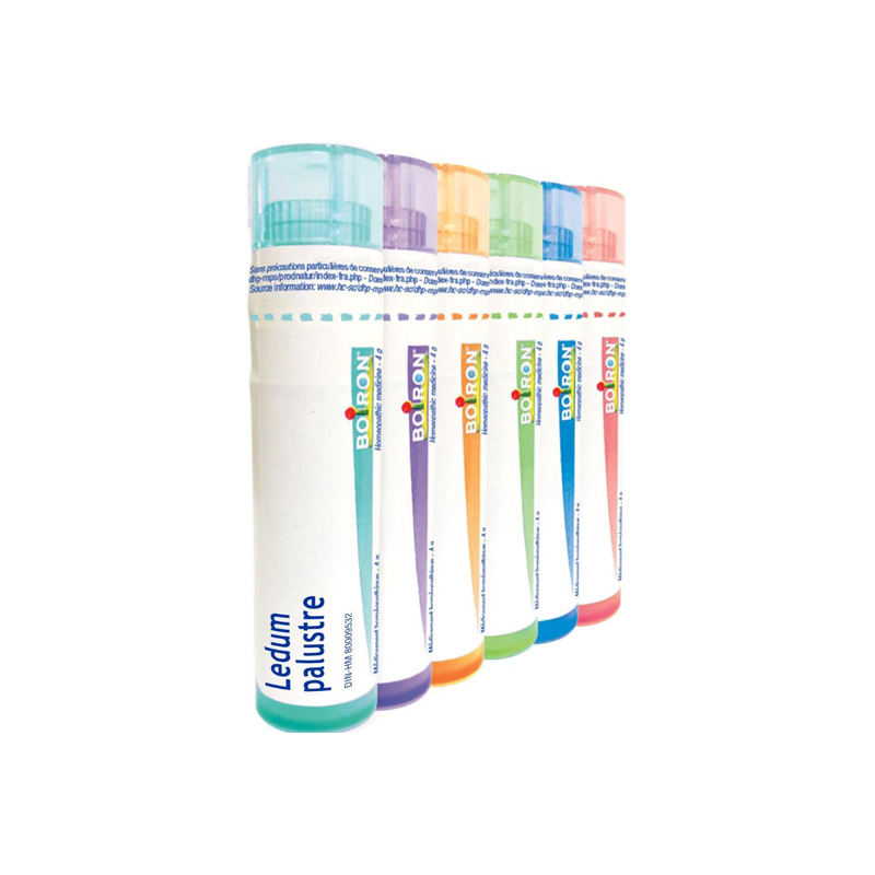 Boiron Ledum Palustre dose 15ch 4g