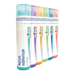 Boiron Natrum Sulfuricum dose 5ch 4g