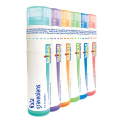 Boiron Ruta Graveolens dose 30ch 4g