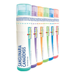 Boiron Sanguinaria Canadensis dose 15ch 4g