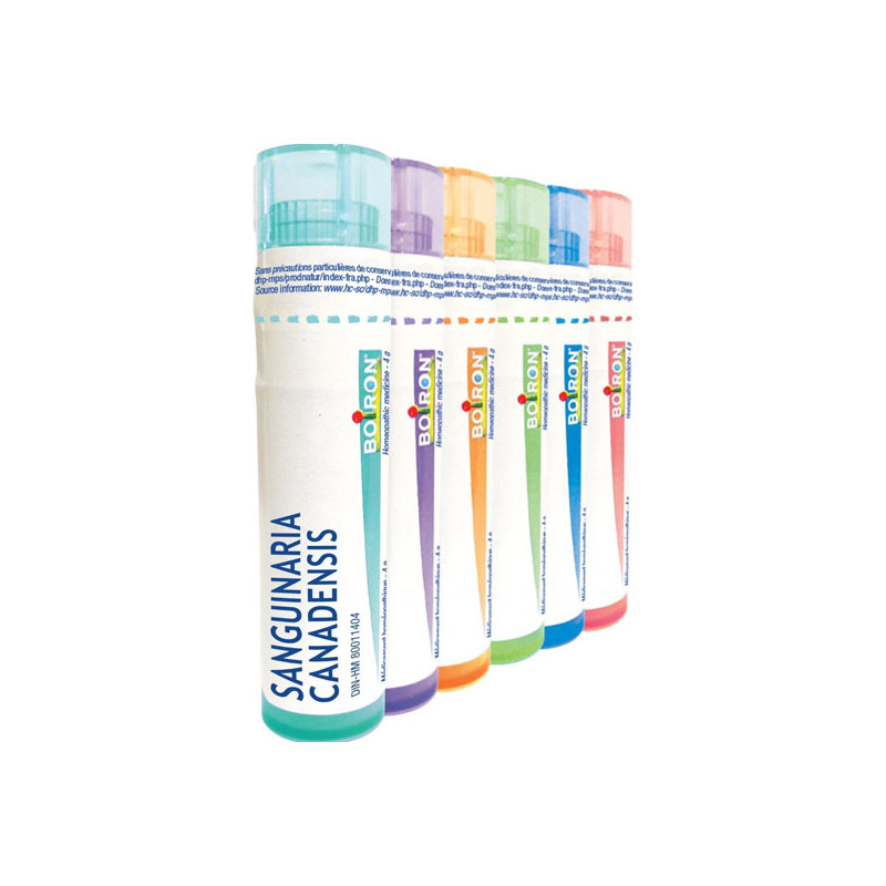 Boiron Sanguinaria Canadensis dose 15ch 4g