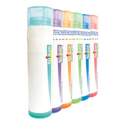 Boiron Sarcolacticum Acidum dose 5ch 4g