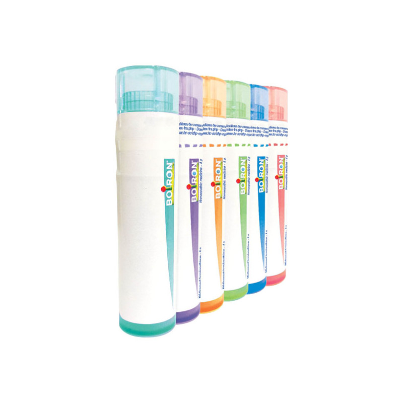 Boiron Sarcolacticum Acidum dose 5ch 4g