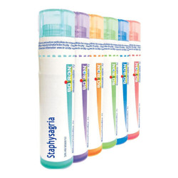 Boiron Staphysagria granules 7ch 4g