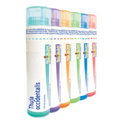 Boiron Thuya Occidentalis dose 15CH 4g