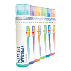 Boiron Valeriana Officinalis dose 9CH