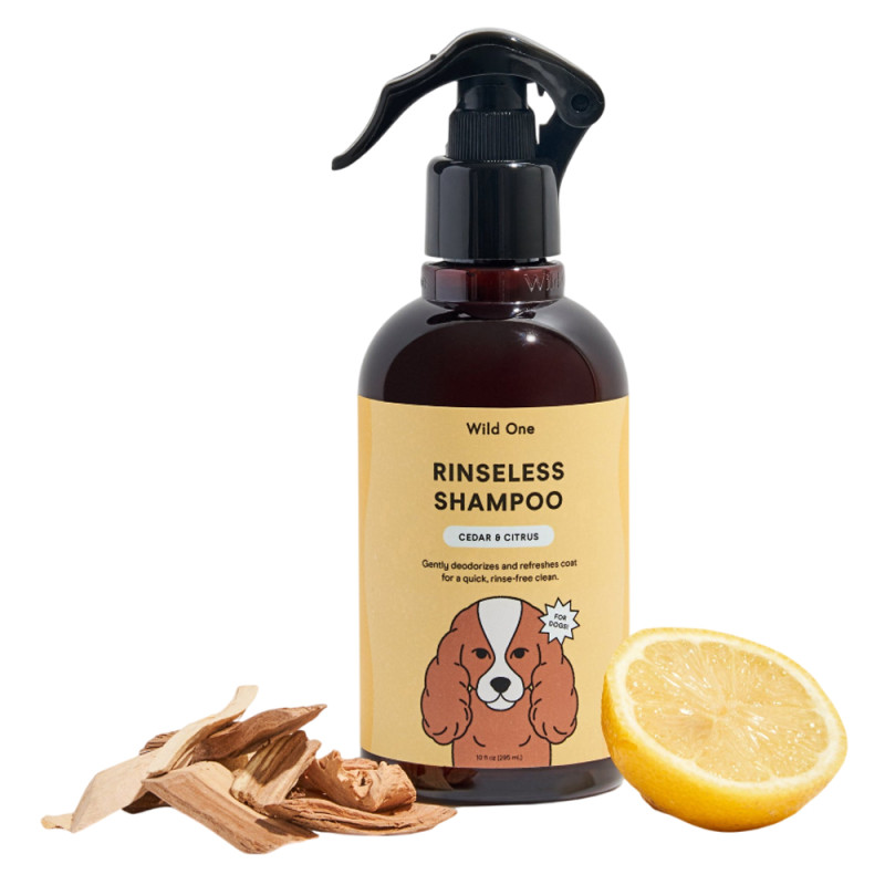 Wild One Shampoing sans rinçage