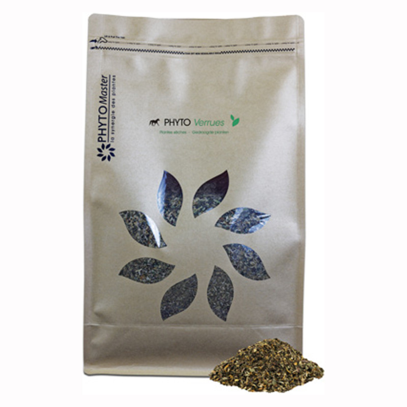 Farnam phytomaster phyto verrues pot de 1kg