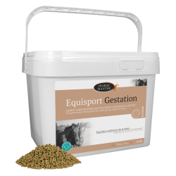 Horse Master Equisport Gestation minéral granulés poulinières 10kg