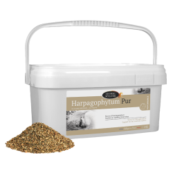 Horse Master Harpagophytum pur 1kg