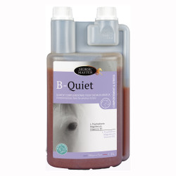 Horse Master B-Quiet 1L