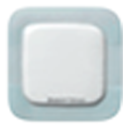 Coloplast Biatain Silicone 12,5 x 12,5cm 10 pansements