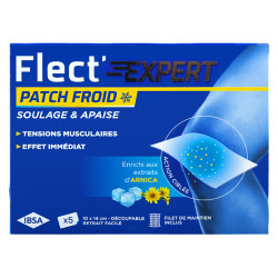 Ibsa Flect'Expert Patch Froid 5 pièces