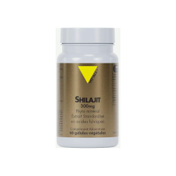 Vit'All+ Shilajit 300mg 60 gélules