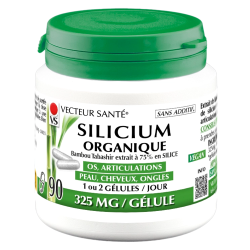 Vecteur Santé Silicium organique Bambou Tabashir 90 gélules
