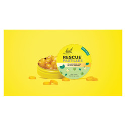 Rescue Pastilles Pomme Menthe 50gr