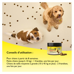 Rescue Pets Friandises Relaxantes pour chiens boîte de 60