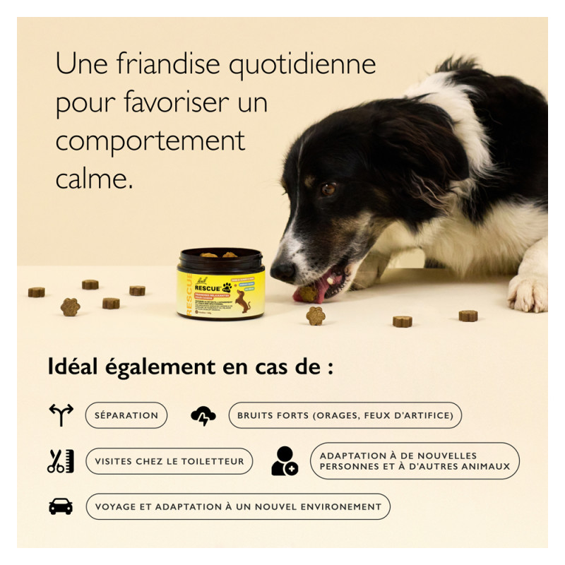 Rescue Pets Friandises...