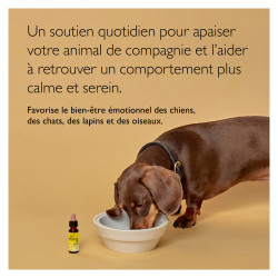 Rescue Pets Compte-gouttes 20ml