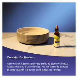 Rescue Nuit Pets compte-gouttes 20ml