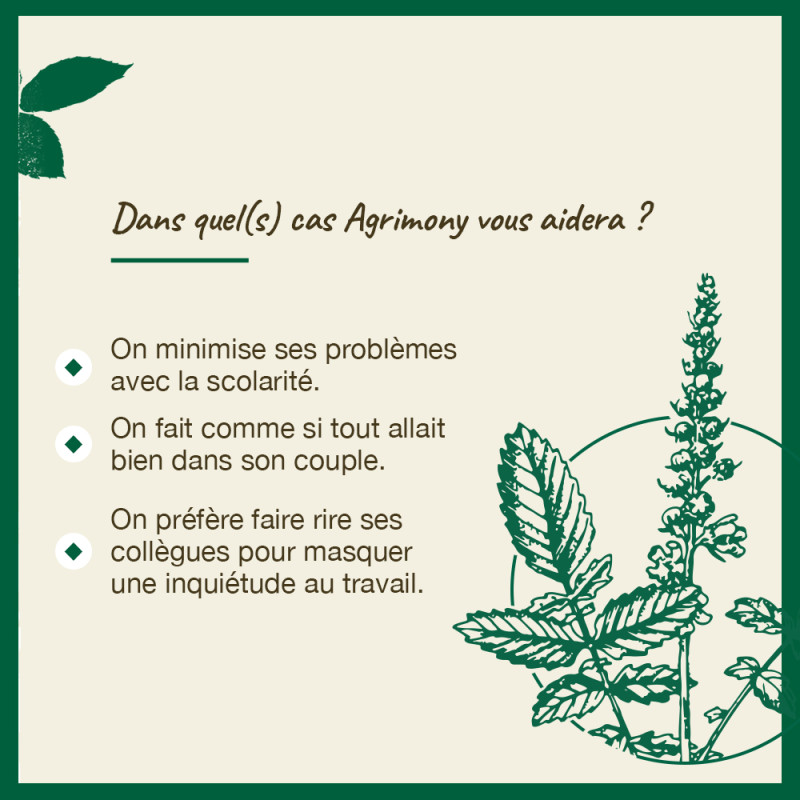 Fleurs de Bach Agrimony n°1...