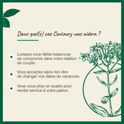 Fleurs de Bach Centaury n°4 - 20ml