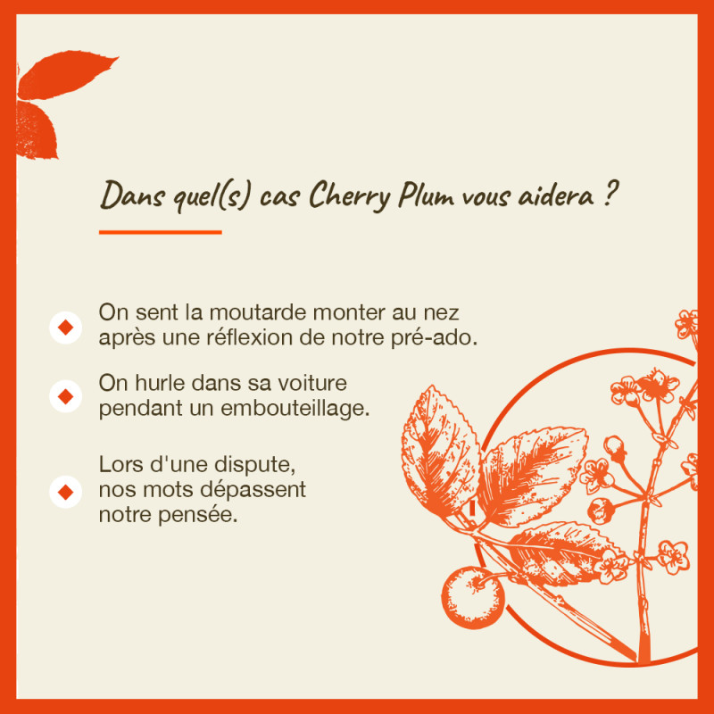 Fleurs de Bach Cherry Plum...