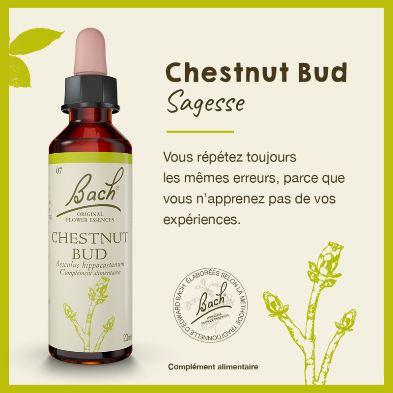 Fleurs de Bach Chestnut Bud...