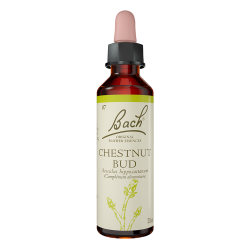 Fleurs de Bach Chestnut Bud n°7  - 20ml