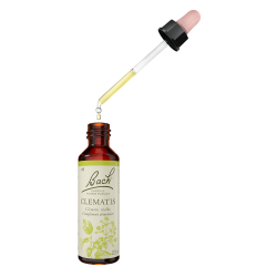 Fleurs de Bach Clematis n°9  - 20ml