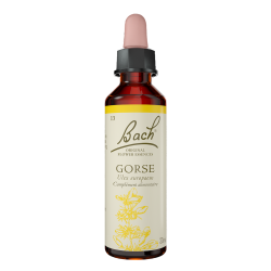 Fleurs de Bach Gorse n°13 - 20ml