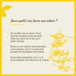 Fleurs de Bach Gorse n°13 - 20ml