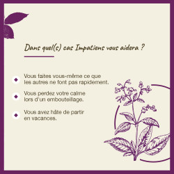 Fleurs de Bach Impatiens n°18 - 20ml