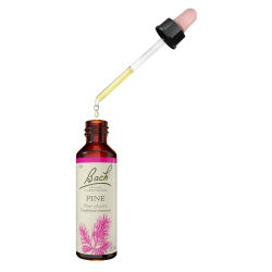 Fleurs de Bach Pine n°24 - 20ml