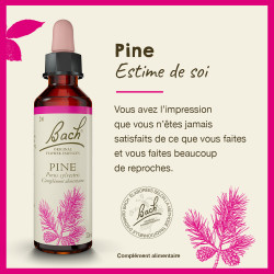 Fleurs de Bach Pine n°24 - 20ml
