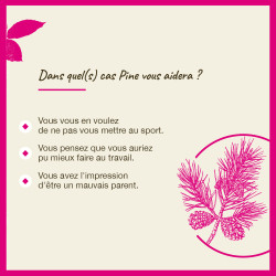 Fleurs de Bach Pine n°24 - 20ml