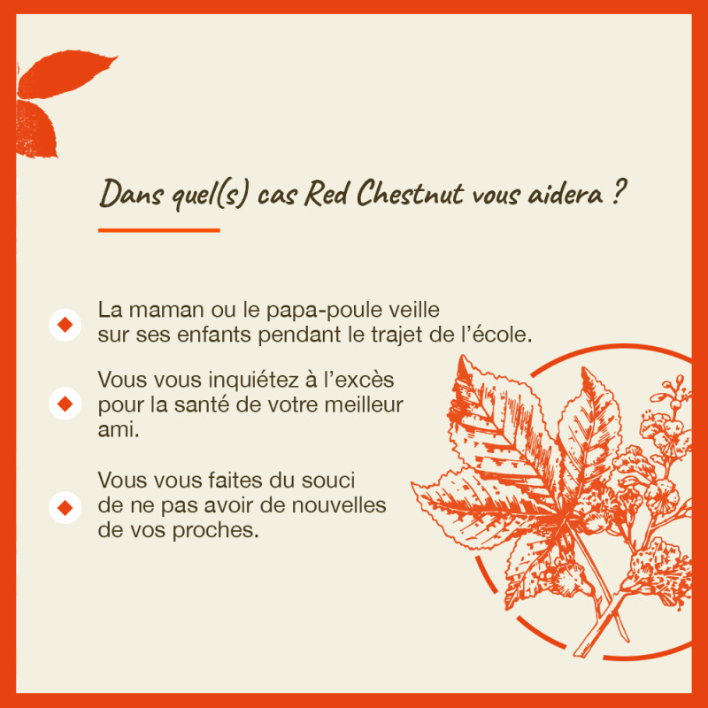 Fleurs de Bach Red Chestnut...