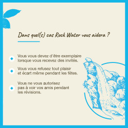 Fleurs de Bach Rock Water n°27 - 20ml