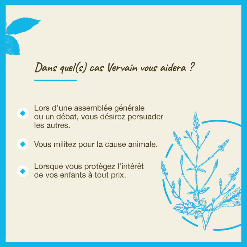 Fleurs de Bach Vervain n°31...