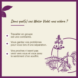 Fleurs de Bach Water Violet n°34 - 20ml