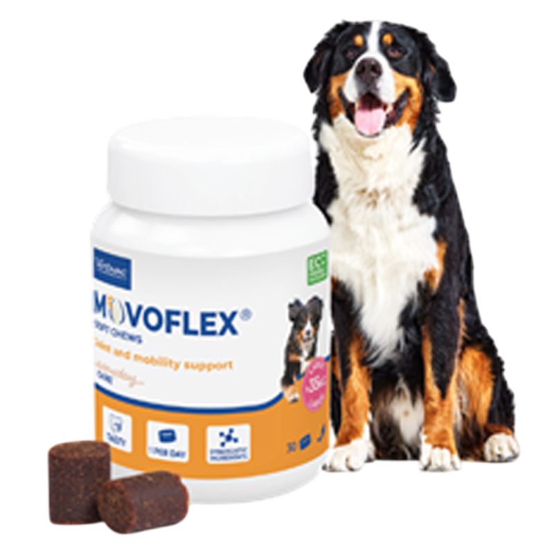 Virbac Movoflex L chien +35kg 30 bouchées de 6gr