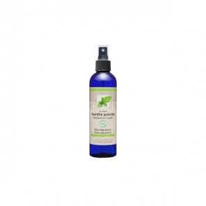 HAUT SEGALA EAU FLOR  MENTHE BIO 250ML