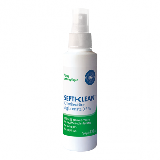Giffret septi-clean spray antiseptique 100ml