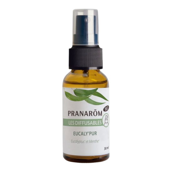 Pranarom les diffusables citronnelle de java 30ml
