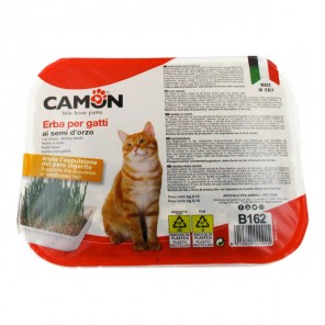 Distridog Camon herbe à Chats en barquette