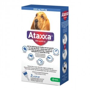 Krka Ataxxa anti-puces pour chien de plus de 25kg 3 pipettes